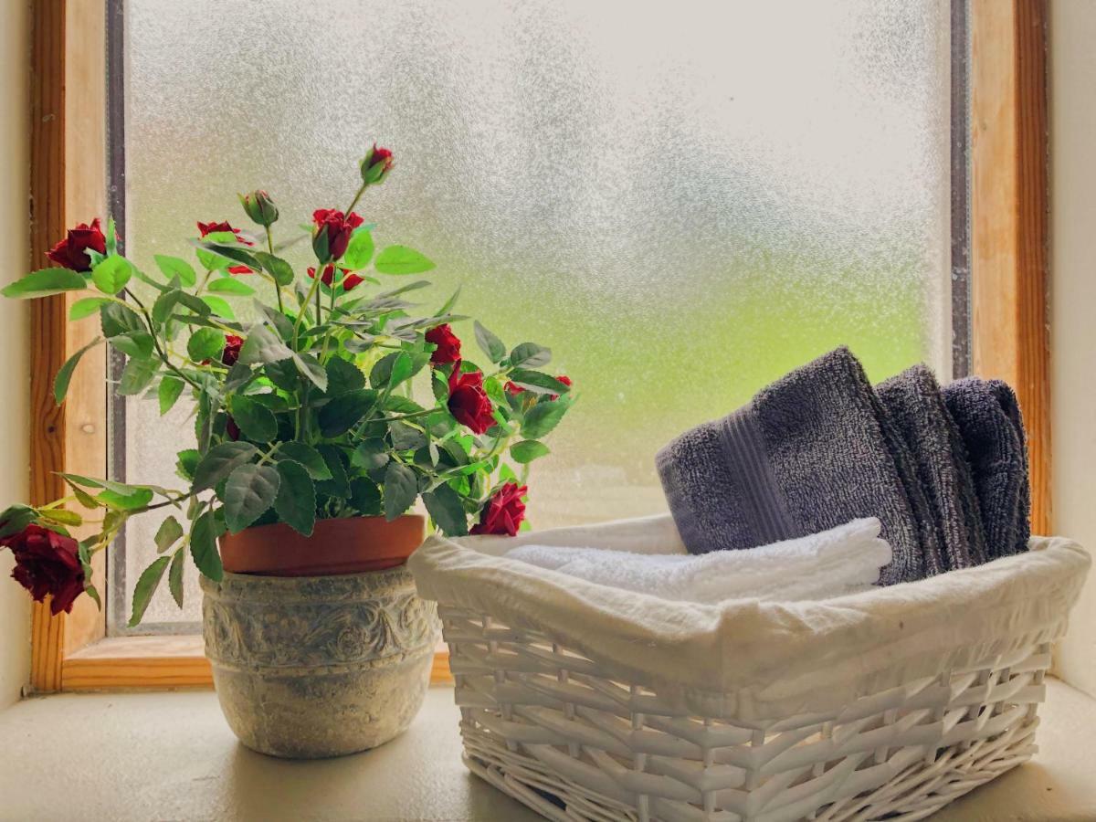 Dream Guesthouse Vik Екстер'єр фото